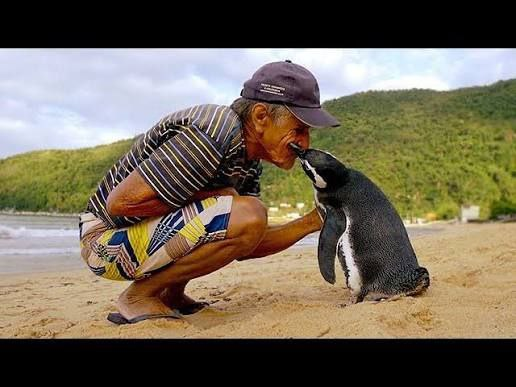 Fisherman reuniting with Juan Salvador on beach